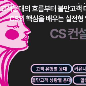 CS 컨설턴트