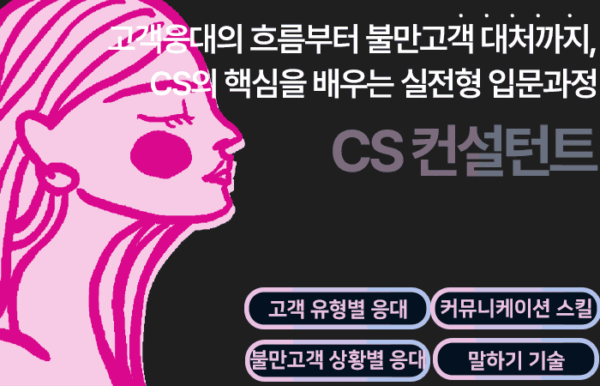 CS 컨설턴트